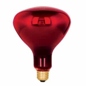 48324 - Lámpara incandescente de calor, BR40 270 Watts, rojo