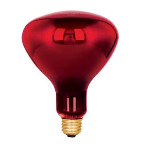 48324 - Lámpara incandescente de calor, BR40 270 Watts, rojo