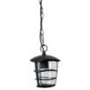 45094 - Arbotante tipo farol moderno colgante para exteriores, negro