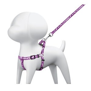 44294 - Correa con pechera para perro, 1 cm ancho, FIERO