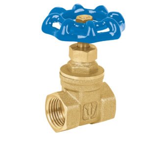 49017 - Válvula de compuerta de latón roscable de 1/2", Foset