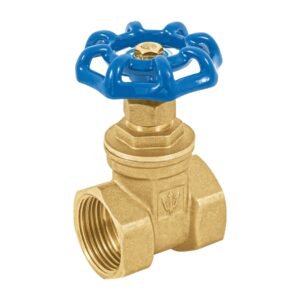 49019 - Válvula de compuerta de latón roscable de 1", Foset
