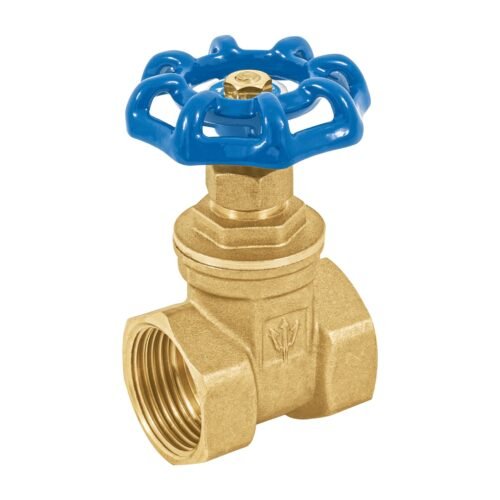49019 - Válvula de compuerta de latón roscable de 1", Foset
