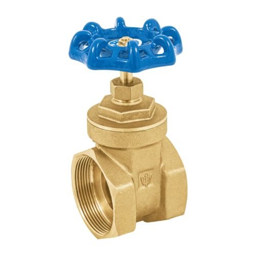 49022 - Válvula de compuerta de latón roscable de 2", Foset