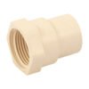 CPVC-602.jpg 45102 - Conector hembra de CPVC 3/4", Foset