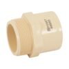 48955 - Conector macho CPVC 2", Foset