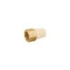 CPVC-641.jpg 45107 - Adaptador hembra de CPVC 1/2" con inserto de latón, FOSET