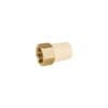 CPVC-642.jpg 45108 - Adaptador hembra de CPVC 3/4" con inserto de latón, FOSET