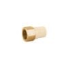 45109 - Adaptador hembra de CPVC 1" con inserto de latón, FOSET