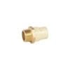 48959 - Adaptador macho de CPVC 1-1/4" con inserto de latón, FOSET
