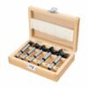 102373 - Juego de 5 brocas forstner para madera, TRUPER