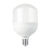 LED-650.jpg 48078 - Lámpara LED alta potencia 60 W (equiv. 650 W), luz de día