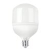48079 - Lámpara LED alta potencia 70 W (equiv. 750 W), luz de día