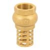 49045 - Pichancha con rejilla de latón 3/4", Foset