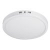 46717 - Luminario LED tipo plafón 24 W, redondo, luz de día, blanco