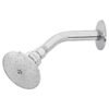 R-502.jpg 45058 - Regadera redonda 3" brazo y chapetón de acero, Foset Aqua