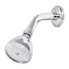 49448 - Regadera cónica 2-1/2" brazo y chapetón de acero, Foset Aqua