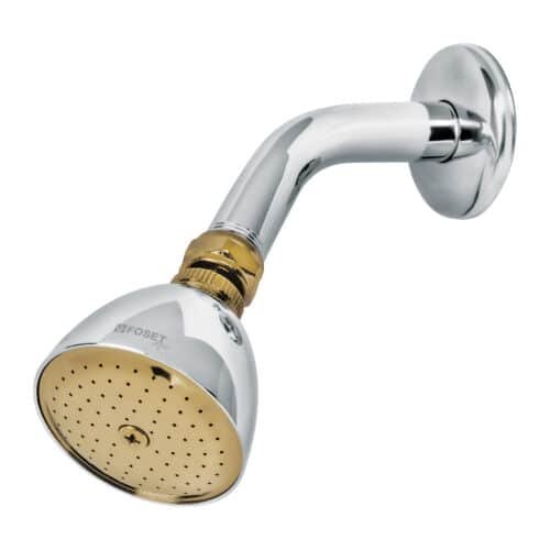 49147 - Regadera cónica 2-1/2" cromo-oro brazo y chapetón acero