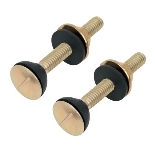 49331 - Bolsa con 2 tornillos 5/16" x 70 mm para tanque de WC a base