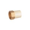 44929 - Adaptador CPVC, 2", hembra inserto metálico-latón, FOSET