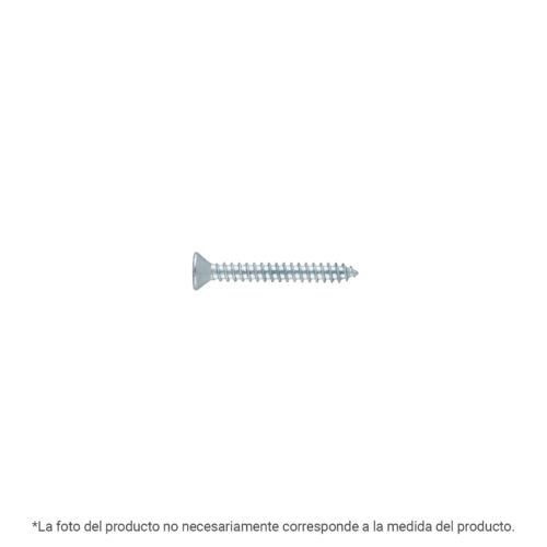 40905 - Bolsa 100 pijas para lámina cabeza plana #14 x 1", FIERO