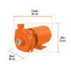 100433 - Bomba centrífuga para agua, 1 HP, TRUPER EXPERT