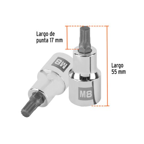 101294 - Dado punta corta bristol M8, cuadro 1/2", Truper