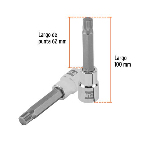 101302 - Dado punta larga bristol M12, cuadro 1/2", Truper