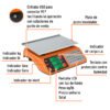 103131 - Báscula electrónica multifunciones 40 kg USB, Truper