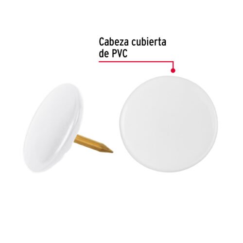 41252 - Caja con 100 chinches blancas, FIERO