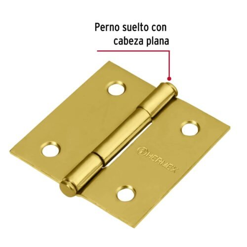 43235 - Bisagra cuadrada 2", latonado, cabeza plana, HERMEX