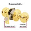43457 - Cerradura tipo oval para entrada, latón brillante, HERMEX