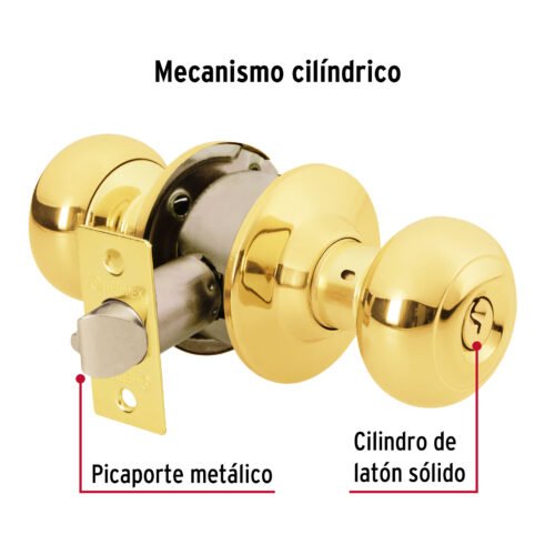 43457 - Cerradura tipo oval para entrada, latón brillante, HERMEX