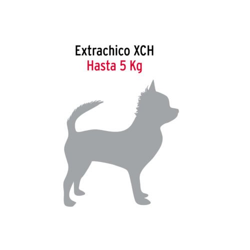 44280 - Cadena de paseo para perro de 1.2 m x 2 mm, FIERO