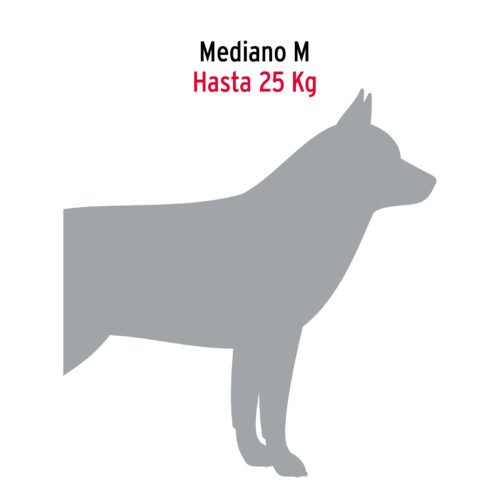 44283 - Cadena de paseo para perro de 1.2 m x 3.5 mm, FIERO