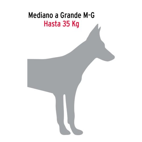44284 - Cadena de paseo para perro de 1.2 m x 4 mm, FIERO