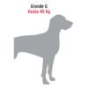 44285 - Cadena de paseo para perro de 1.2 m x 4.5 mm, FIERO