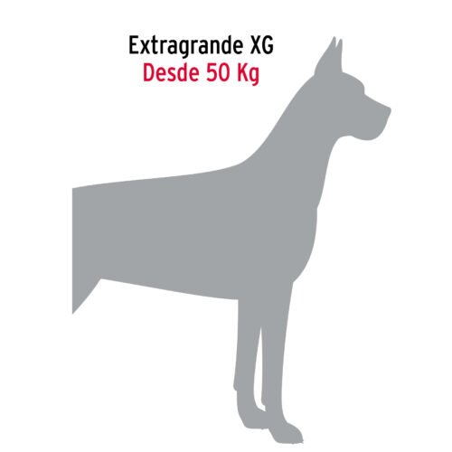 44286 - Cadena de paseo para perro de 1.2 m x 5 mm, FIERO