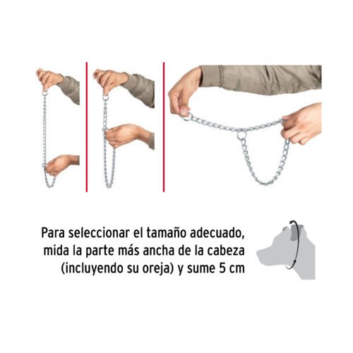 44292 - Collar de entrenamiento para perro, 55 cm, eslabón 3.5 mm