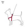 44294 - Correa con pechera para perro, 1 cm ancho, FIERO