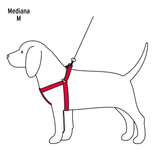 44295 - Correa con pechera para perro, 1.5 cm ancho, FIERO