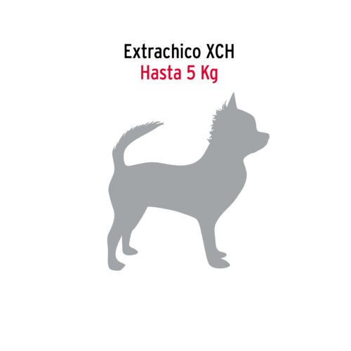 44312 - Cadena de 1.8 m de amarre para perro, 1.7 mm, FIERO