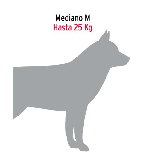 44314 - Cadena de 1.8 m de amarre para perro, 2.4 mm, FIERO