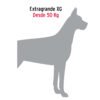 44316 - Cadena de 1.8 m de amarre para perro, 2.9 mm, FIERO