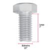 445912 44591 - Bolsa con 40 tornillos 1/2" x 1" tipo máquina, FIERO