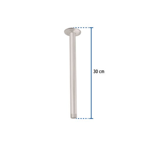 455891 45589 - Brazo y chapetón de repuesto para regadera techo, satinado