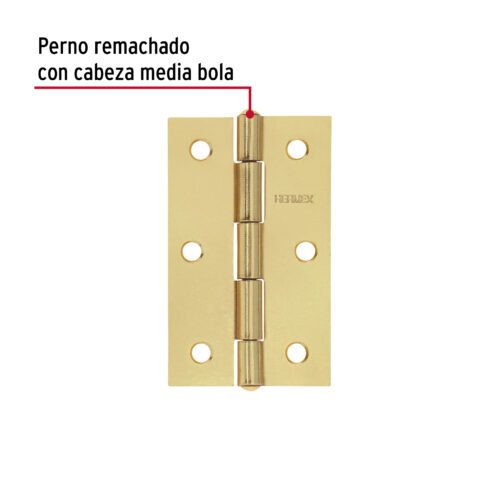 45689 - Bolsa con 2 bisagras rectangulares 3-1/2", acero latonado