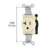 461012 46101 - Contacto sencillo, 2 polos 3 hilos, 20 A, Standard, marfil