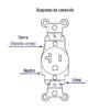 461013 46101 - Contacto sencillo, 2 polos 3 hilos, 20 A, Standard, marfil