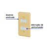 46389 - Placa armada 2 interruptores sencillos, línea Económica